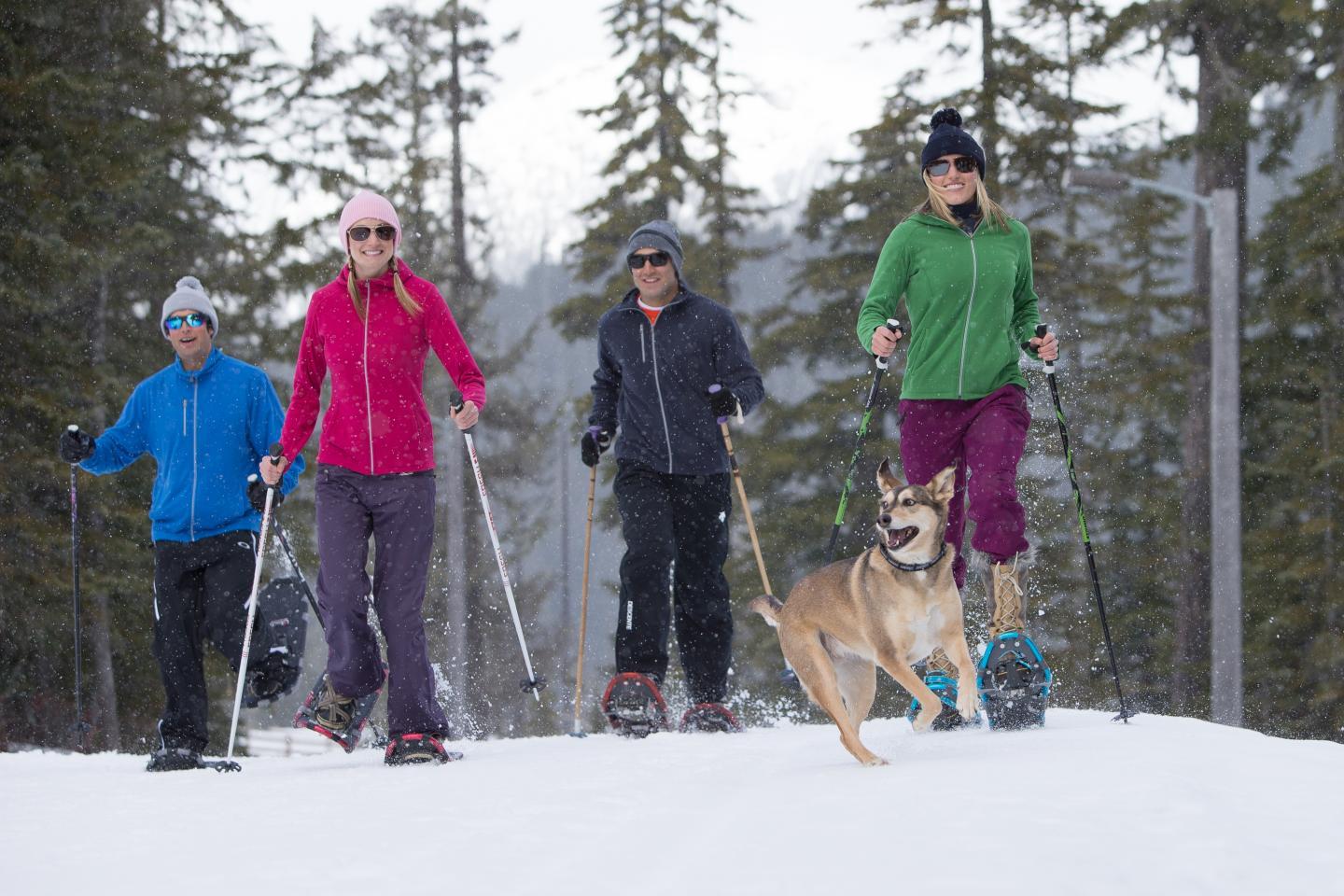 Family snowshoeing in the forest with dog