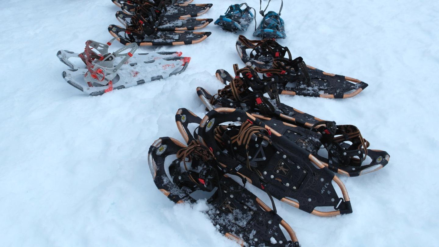 Snowshoes laying on the ground