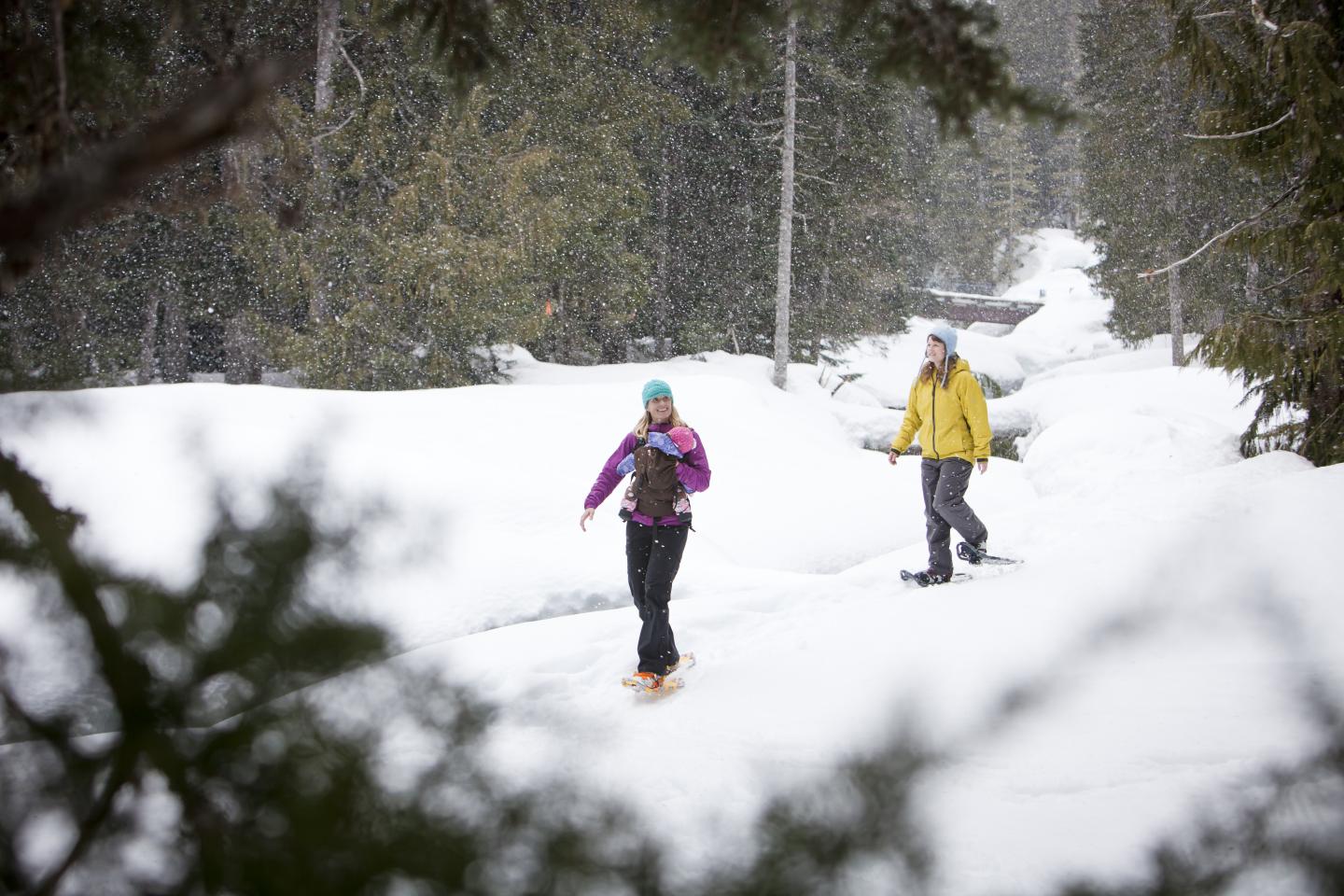 Friends snowshoeing
