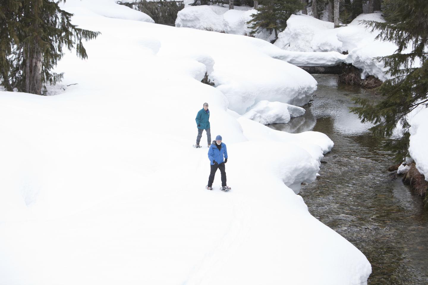 People snowshoeing beside river